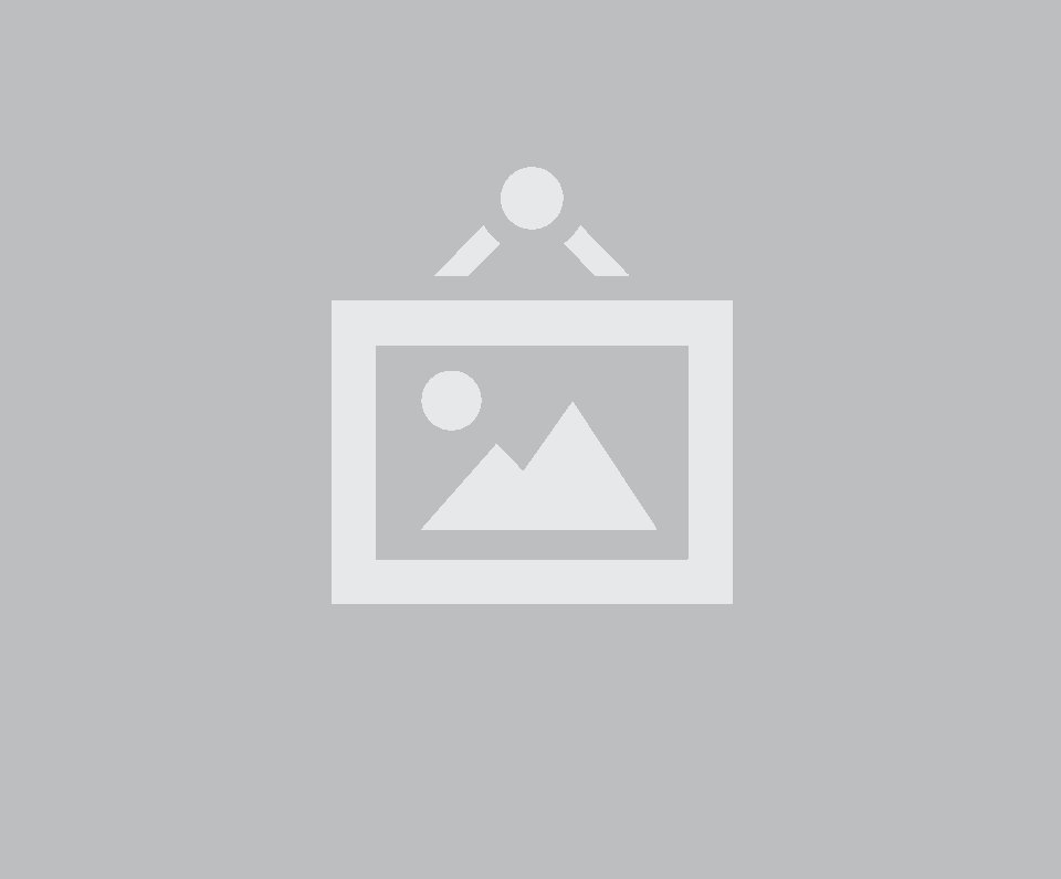 Die Zukunft des Software Asset Managements (SAM): Vom Lizenztracking zur strategischen Governance