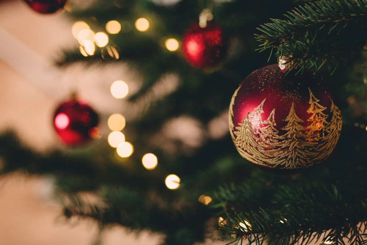 Frohe Weihnachten und Danke für 2021