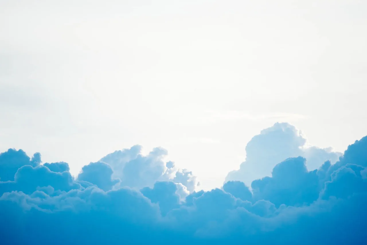 SaaS vs. On Premise - Was ist die beste Lösung?