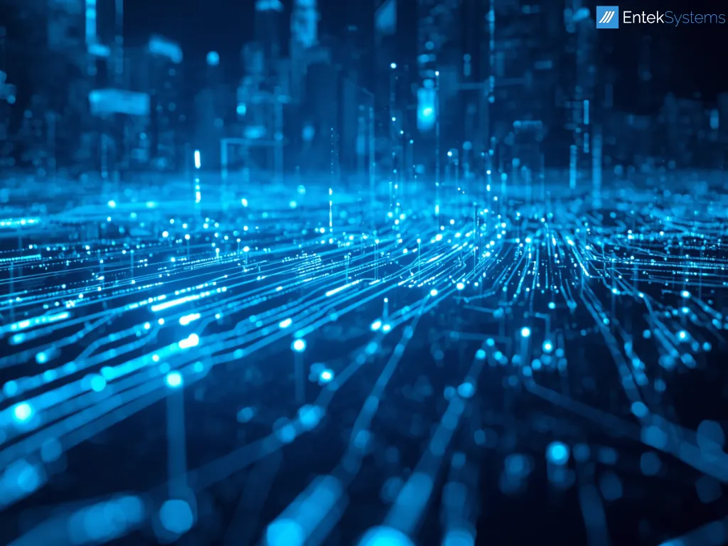 Software vs. Softwarelizenz: Klarheit schaffen für IT-Entscheider