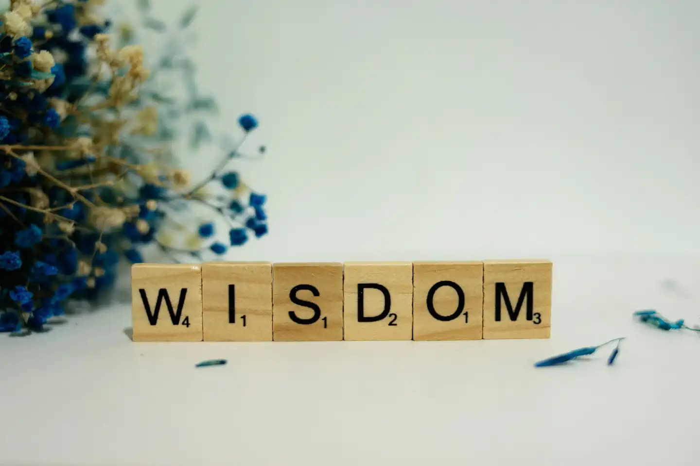 Wie verwaltet man Assets effektiv?